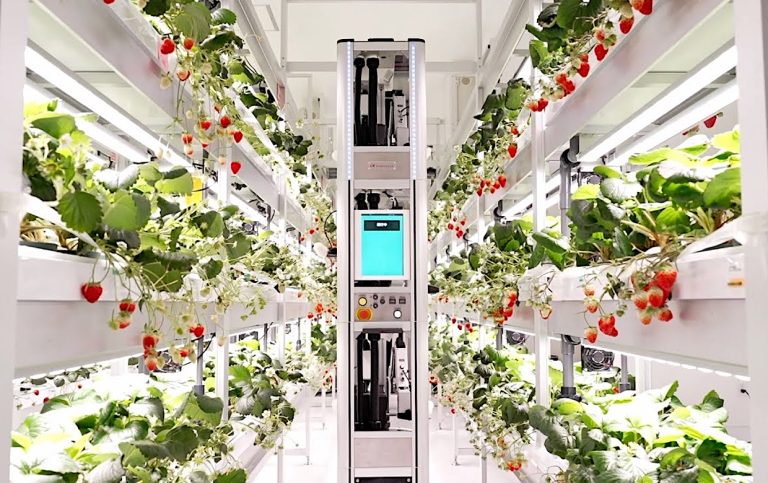 Beyond the Bee: How HarvestX’s Pollination Robot Tackles Global Food Crisis